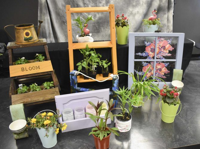 Plants and treasures | News, Sports, Jobs - Vimarsana News